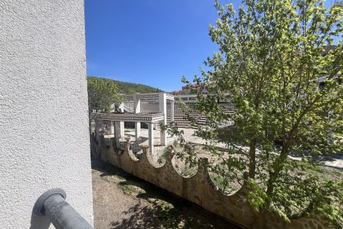 Астория 3, Елените