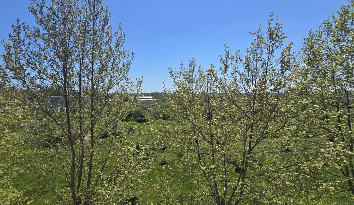 Sunny Day 3, Солнечный берег