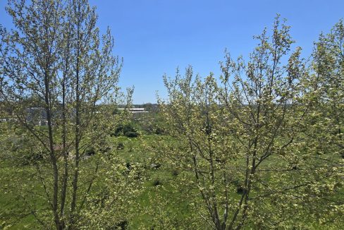 Sunny Day 3, Солнечный берег